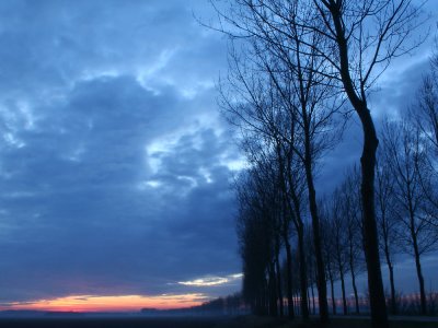 blue sky