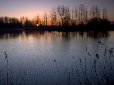 g3/13/928913/3/122661171.hD999bJW.jpg