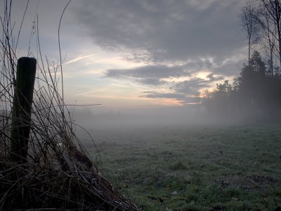 Hulst (Groot Eiland)