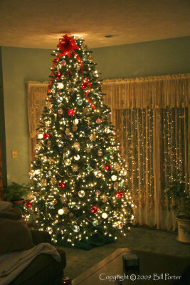 A New Christmas Tree