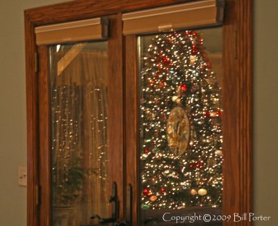 Reflections of a Christmas Tree