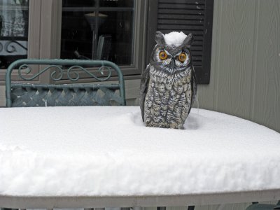 Who... who says it's not cold?
