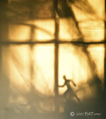 The Shadow Runner