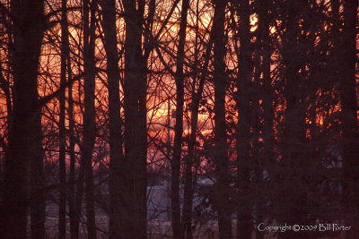 14 Jan 2010 Sunrise