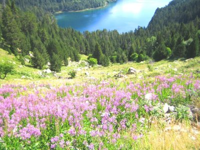 Vista al Llac de Sant Maurici