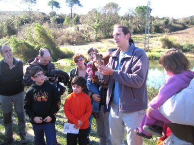 Alliberament d'un xoriguer (Falco tinnunculus)