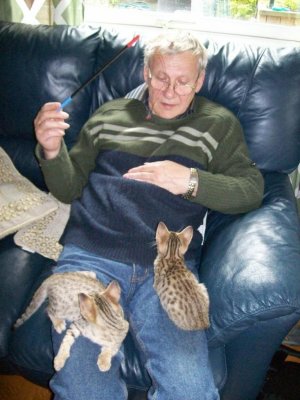 Wilmas Litter 2009