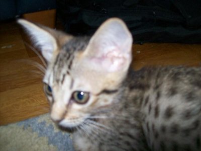 g3/13/944413/3/122075895.c6CrbSgZ.jpg