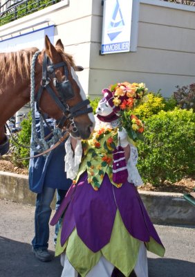 20100522-20100522-CRW_9936.jpg