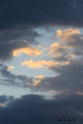 IMG_4141.JPG