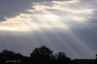 IMG_4191.JPG