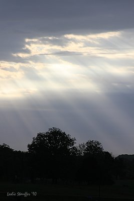IMG_4192.JPG