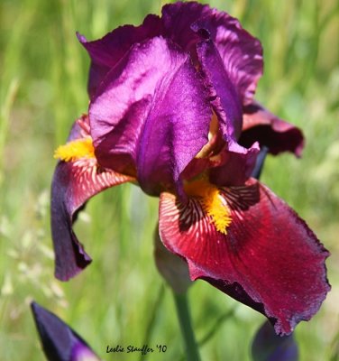 IMG_4723.JPG