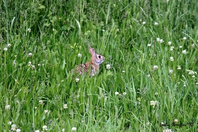 IMG_4923.JPG