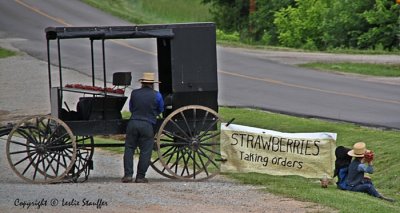 IMG_8130.JPG