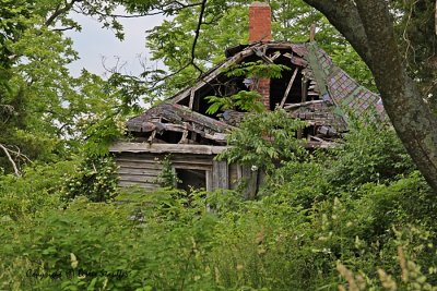 IMG_8461.JPG