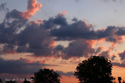 IMG_8510.JPG