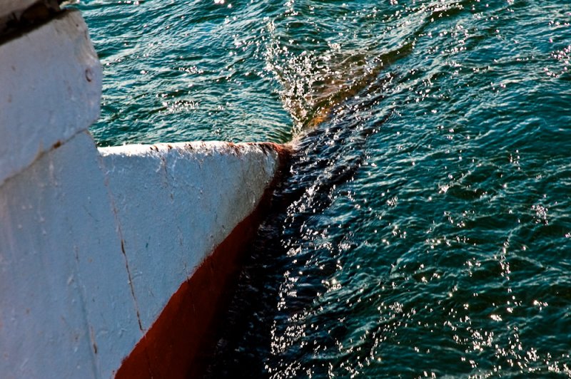 DSC_0270.jpg
