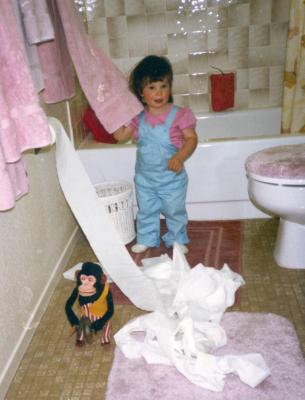 teetoiletcrop.jpg