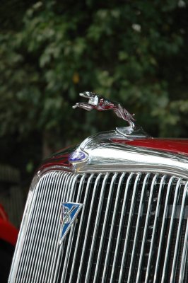DSC_6091.JPG
