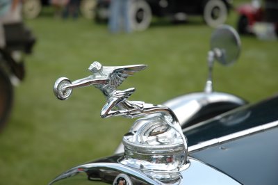 DSC_6193.JPG
