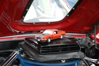 DSC_6280.JPG