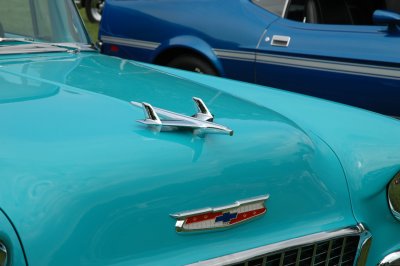 DSC_6315.JPG