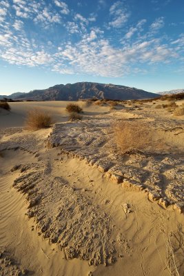 Scaley Terrains