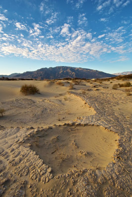 Desert Hot Tub