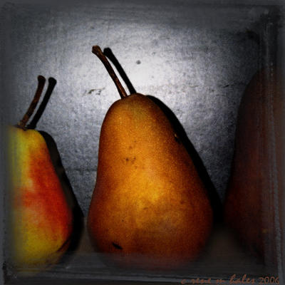 pears holga style