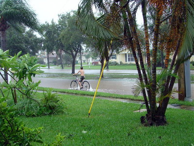 DSC02603 2.JPG