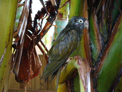 DSC02649 2.JPG