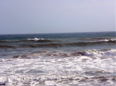24 Jan 2010 SatBch 10am