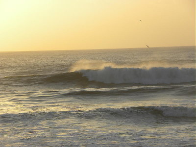DSCN7291 2.JPG