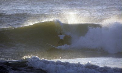 DSCN7301 2.JPG