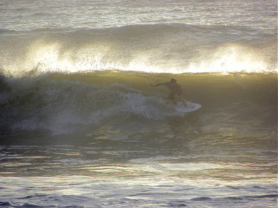 DSCN7320 2.JPG