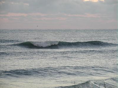 PC270003 2.JPG