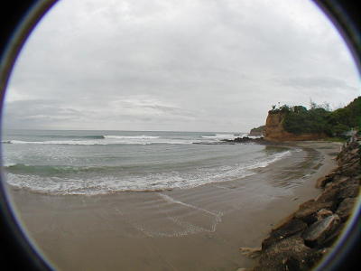 P2180016b 2.JPG