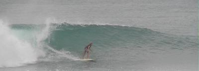 P2180024b 2.JPG