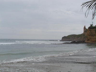 P2180039b 2.JPG