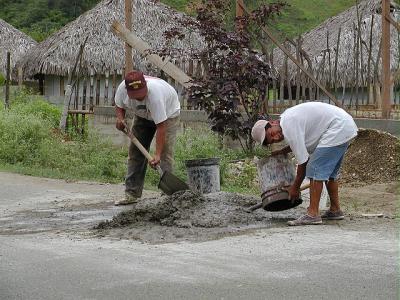 P2180064b 2.JPG