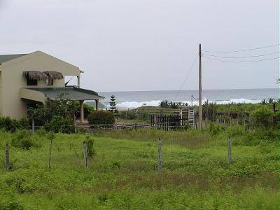 P2180065b 2.JPG