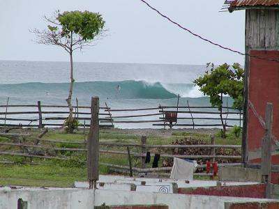 P2180068b 2.JPG