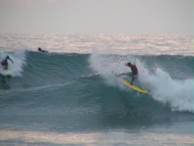 djm 033f 3.jpg