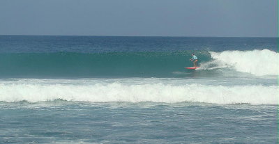 DSC06494 2.JPG