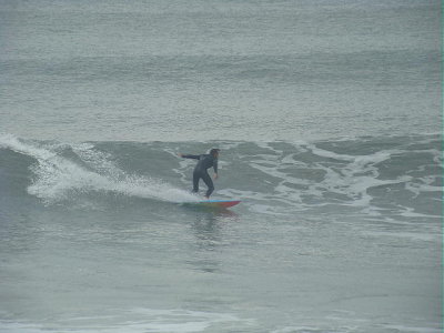 DSC06853 2.JPG