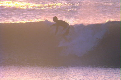 DSC08794 2.JPG