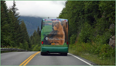 Grizzly Bus