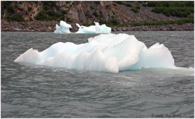 Portage Glacier Icebergs