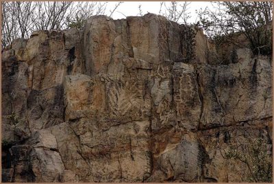 King Canyon Petroglyphs